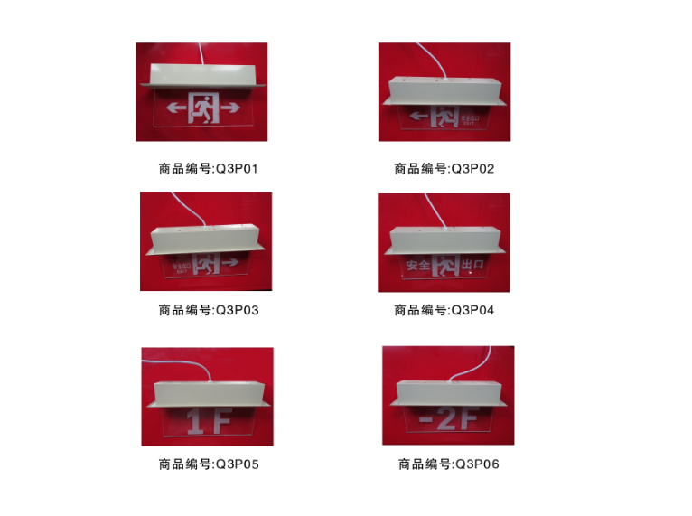 凯发k8一触即发LS-BLZD-2LROE I 2W-Q3型消防应急标志灯（嵌顶式）